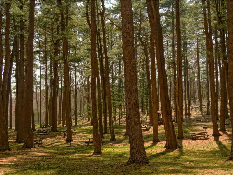 sudoku all ages screenshot 3